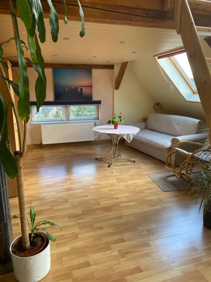 Helles Und Charmantes Loft Mit Herrlichem Blick Dresden Eksteriør billede