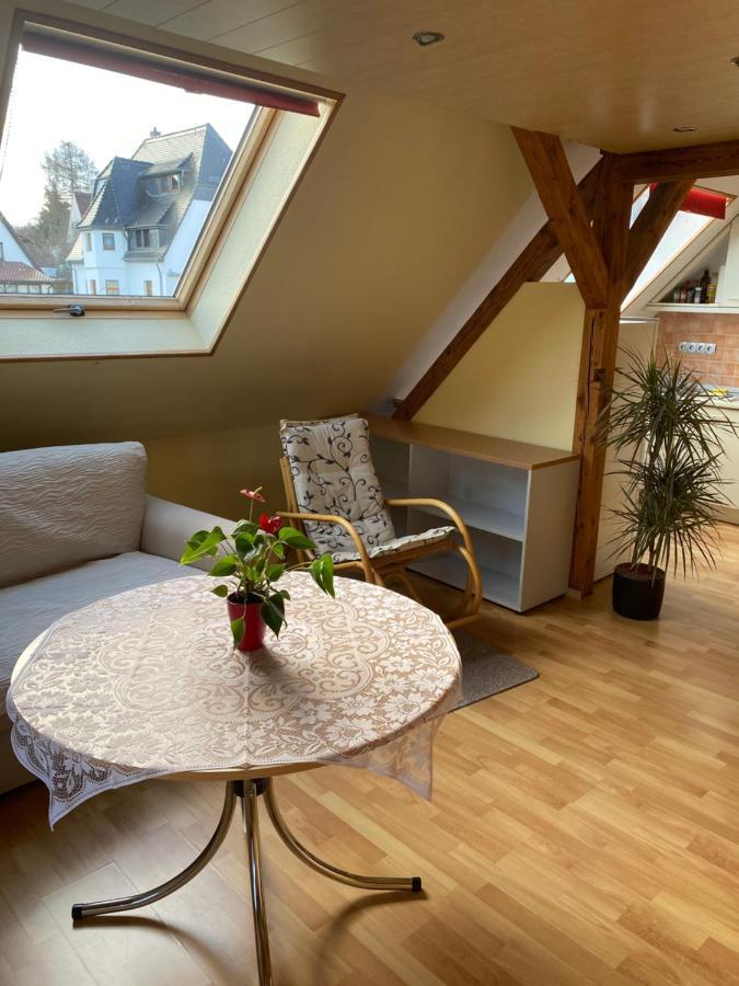 Helles Und Charmantes Loft Mit Herrlichem Blick Dresden Eksteriør billede