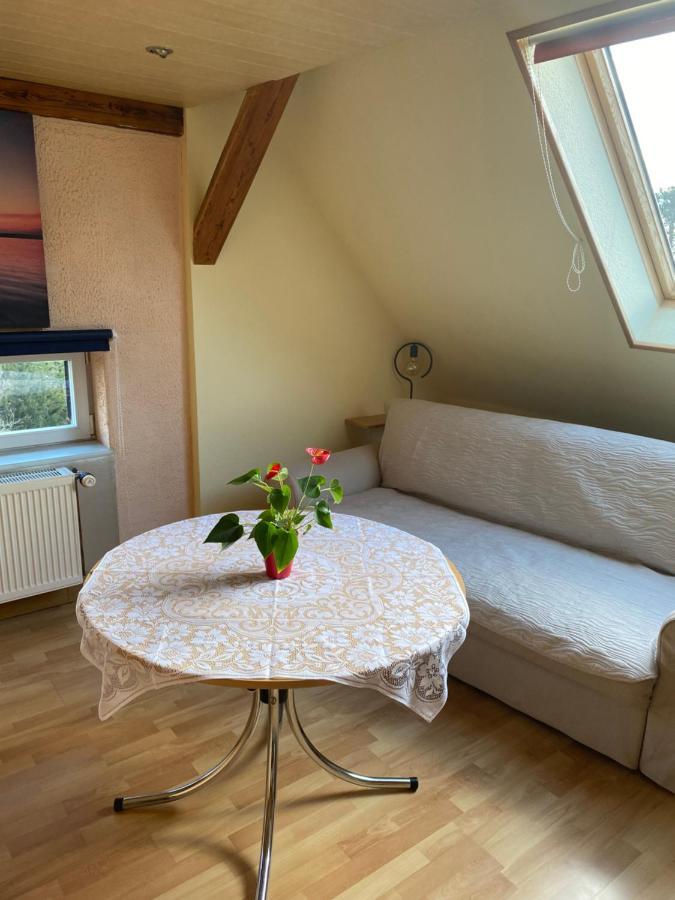 Helles Und Charmantes Loft Mit Herrlichem Blick Dresden Eksteriør billede